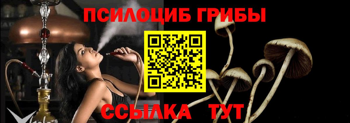 Псилоцибиновые грибы Psilocybe  Вход с VPN  Соликамск  Псилоцибиновые грибы Cubensis 